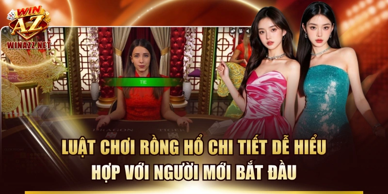 Luật Chơi Rồng Hổ Chi Tiết Dễ Hiểu Hợp Với Người Mới Bắt Đầu